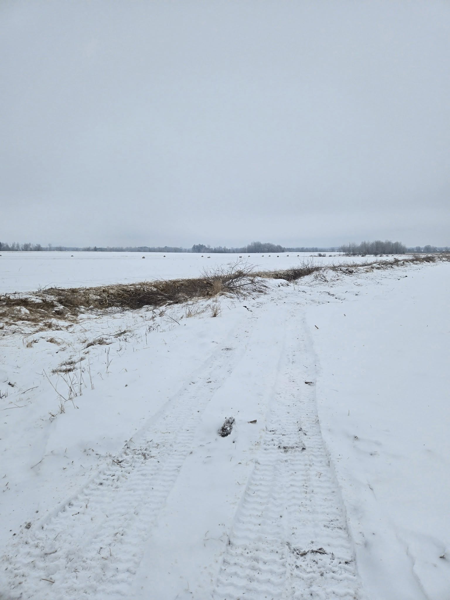 land clearing wausau